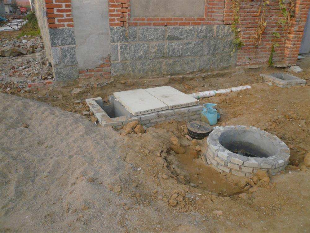 06.jpg